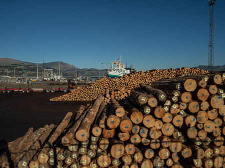 Lyttleton harbour, New Zealand, industrial lumber yard with boats in the backgroundのeditorial素材