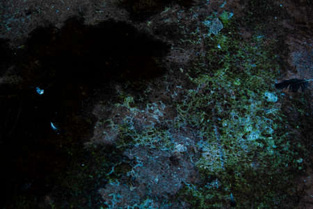 abstract designの写真素材