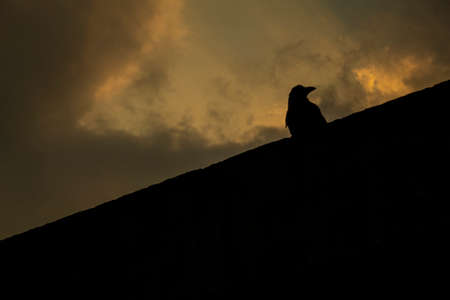 SILHOUETTESの写真素材