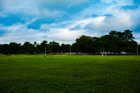 Green grass and blue skiesの写真素材