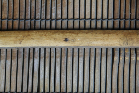 East Bamboo Texture Linesの写真素材