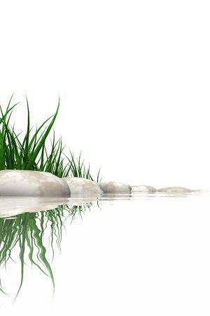 Stones & grass at waters edge isolated on whiteの写真素材