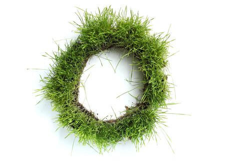 Letters made of grass - Oの写真素材