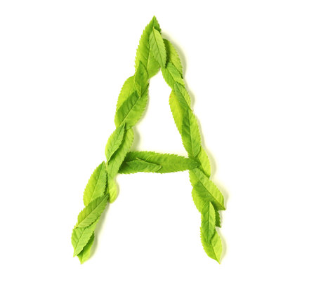 Uppercase letters made of leavesの写真素材