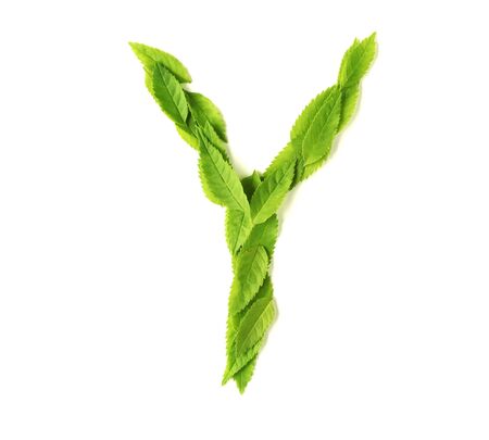 Uppercase letters made of leavesの写真素材