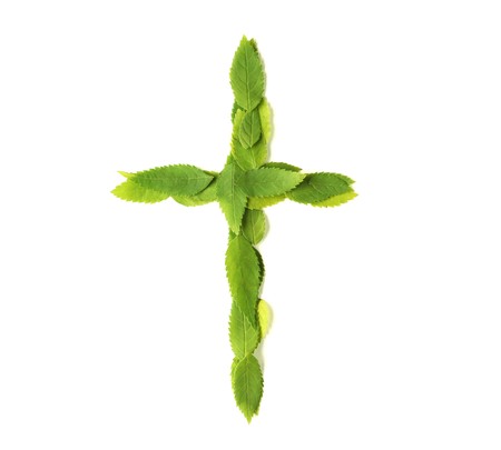 Lowercase letters made of leavesの写真素材