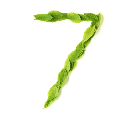 Numbers made of leavesの写真素材