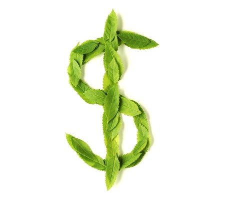 Dollar sign made of leavesの写真素材