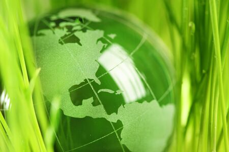 Glass globe in green grassの写真素材