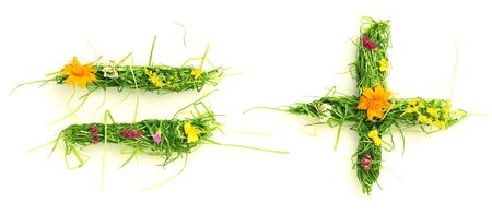 Symbols made of flowers and grass isolated on whiteの写真素材