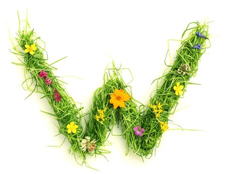Letters made of flowers and grass isolated on whiteの写真素材