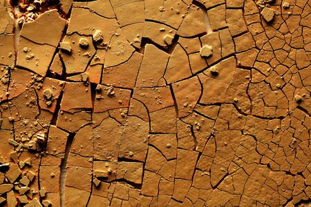 Dried cracked earthの写真素材