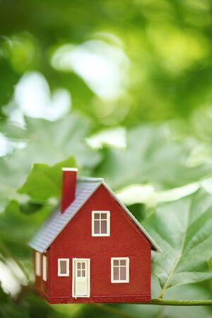 House in the treesの写真素材