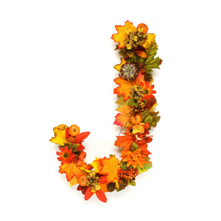Autumn alphabetの写真素材