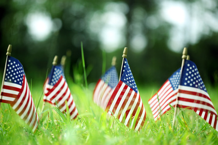 Group of American flags in green grassの写真素材