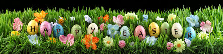Bright colorful Easter eggs saying Happy Easter on green grass with flowers
