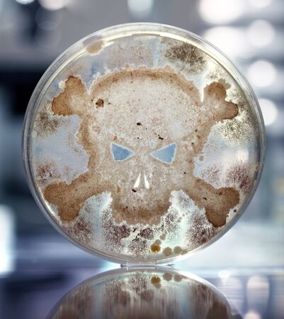Petri dish growing bacteria in the shape of a skull and crossbonesの写真素材