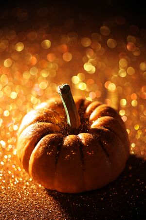 Single pumpkin on sparkly orange backgroundの写真素材