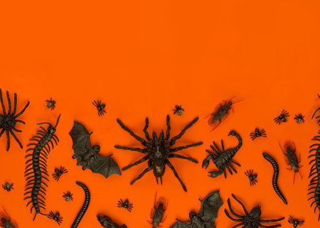 Black Halloween creepy crawly bugs and spiders on orange background with blank space for textの写真素材