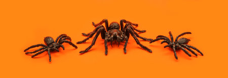 Three creepy tarantula spiders on orange Halloween background.