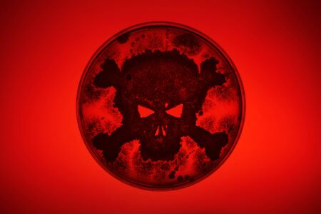 Petri dish growing bacteria in the shape of a skull and crossbonesの写真素材