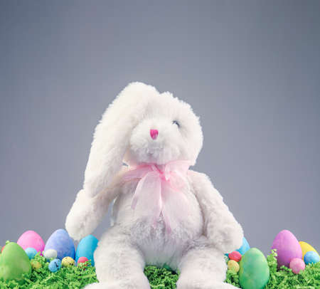 Stuffed animal Easter Bunny surrounded with painted Easter eggs and colorful decorations.の写真素材
