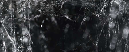 Mess of cobwebs or spiderwebs on black. Spooky Halloween spider web decorations.の写真素材