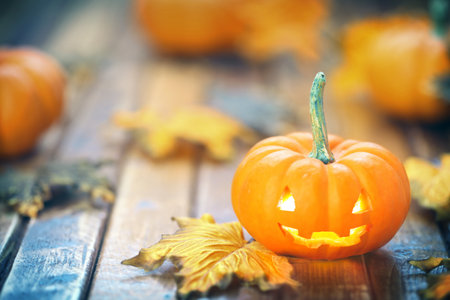 Cute Halloween carved pumpkin glowing with autumn leaves.の写真素材