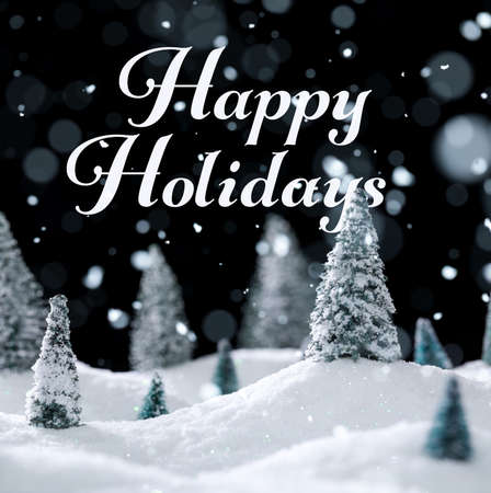 Snowing winter wonderland with trees and sparkling white snow. Happy Holidays text.の写真素材