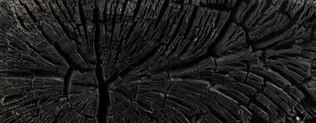 Dark black background of a burnt tree, soot, and ash. Burn texture. Aftermath of a forest fire.の写真素材