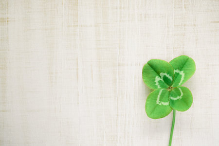 Lucky four leaf clover symbolizing luck, fortune, and prosperity. For St Patrick's Day or good luck.