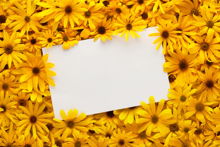 Frame of bright and warm yellow summer flowers with blank white postcard for text.の写真素材