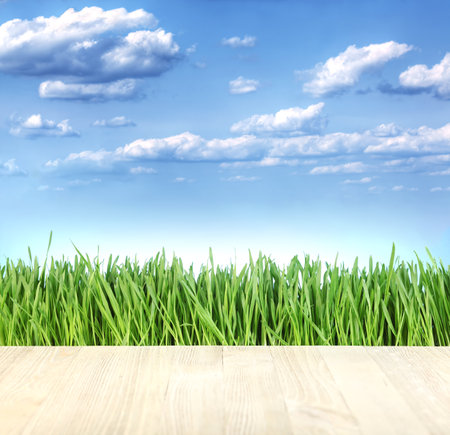 Fresh green grass against bright blue skyの写真素材