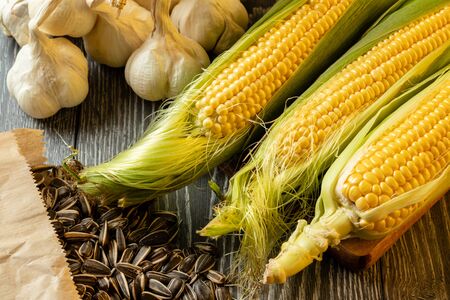 Fresh corn on cobs on rustic wooden table, closeup, zucchiniの写真素材