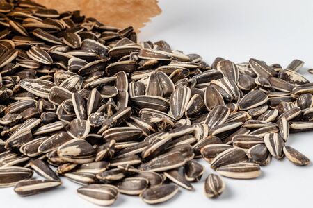 Large striped sunflower seeds with shell texture backgroundの写真素材