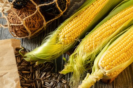 Fresh corn on cobs on rustic wooden table, closeupの写真素材
