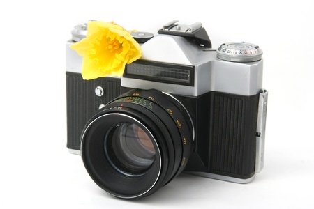 old film camera on white with yellow narcissusの写真素材