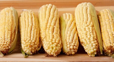 Row of corn cob on a wooden backgroundの写真素材