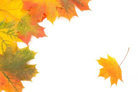 Autumn maple leaves frameの写真素材