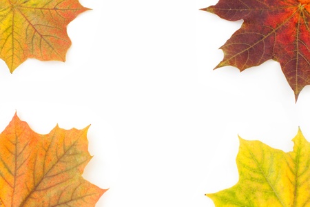 Maple leaves borderの写真素材