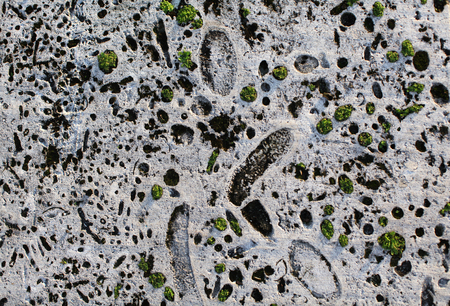 stone textureの写真素材