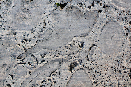 stone textureの写真素材