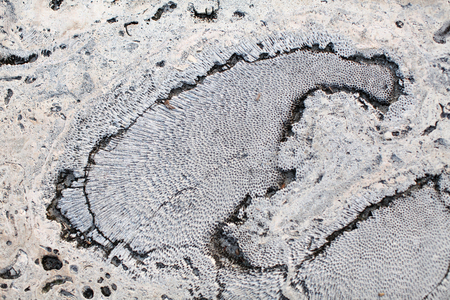 stone textureの写真素材