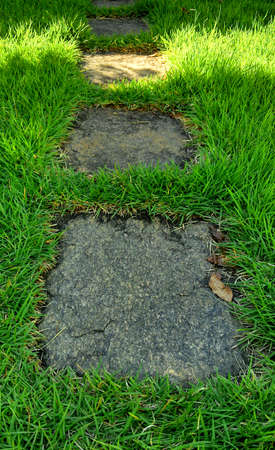 A stone path in the grassの写真素材