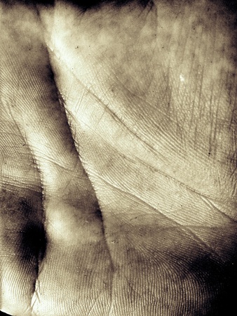 Hand skin in detailsの素材