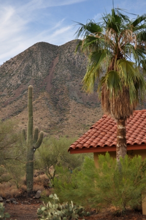 A red roofed house stands below a desert mountain with Saguaro Cactus, Palm tree, Mesquite bush and Prickly Pear cactus under a bright blue skyの写真素材