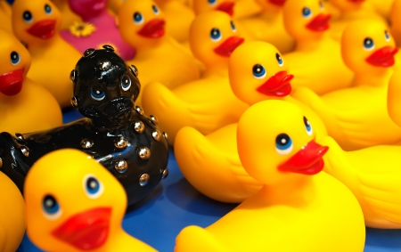 A studded black bath rubber duck stands out against the crowd of yellow rubber ducks on a blue base の写真素材