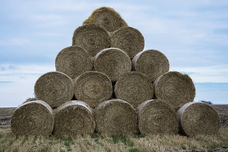 hay in the fieldの写真素材