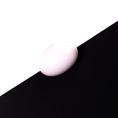 egg on white and black backgroundの写真素材