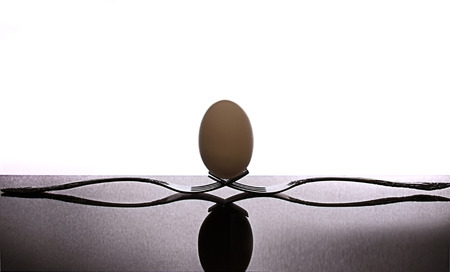 chicken eggsの写真素材